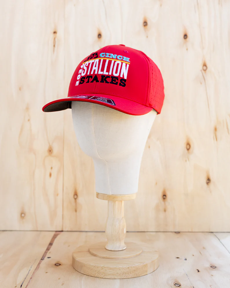 2026 Stallion Stakes Hats (4 Styles) - Image 2