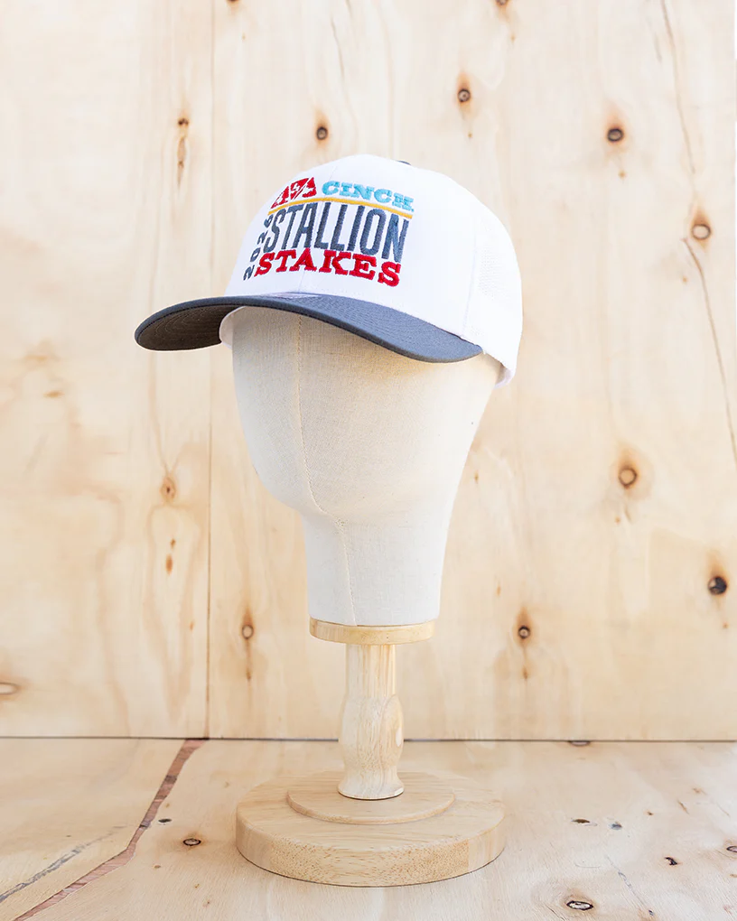 2026 Stallion Stakes Hats (4 Styles) - Image 3